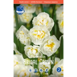 Narciss ‘BRIDAL CROWN’ 5 st lök/fp. (Lev. fr vecka 36)