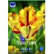 PAPEGOJTULPAN ’TEXAS FLAME’ 10 st lök/fp